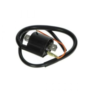 Yamaha Bobine aer/bw/neo/tzr DMP