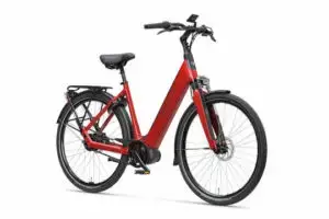 Sparta A-Shine Fit DARK RED GLOSS DAMES 2024