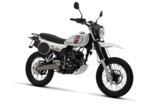 artPic_public_L_3596057.jpg Mash X-ride Wit 2024